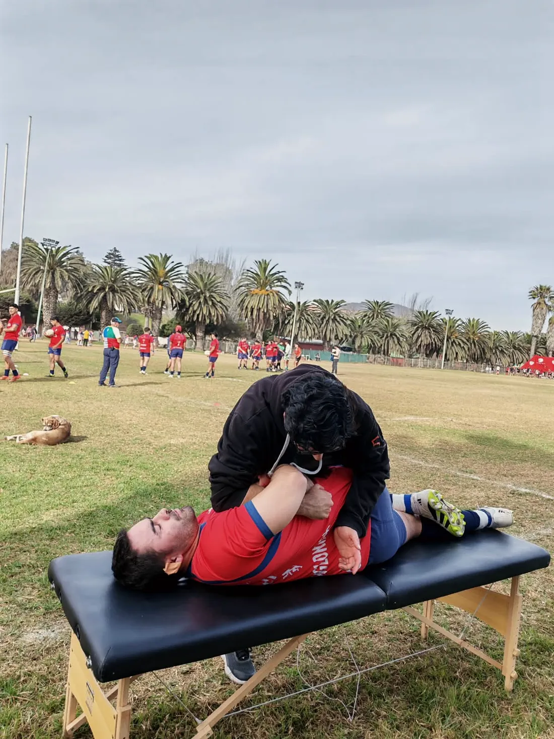 Kinesiólogo de Kinesis tratando a un jugador de rugby en la camilla